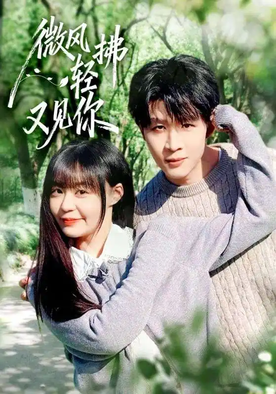 《微风轻拂又见你（66集）王雨博&孙蔚琳》短剧全集免费在线观看-CD网盘社