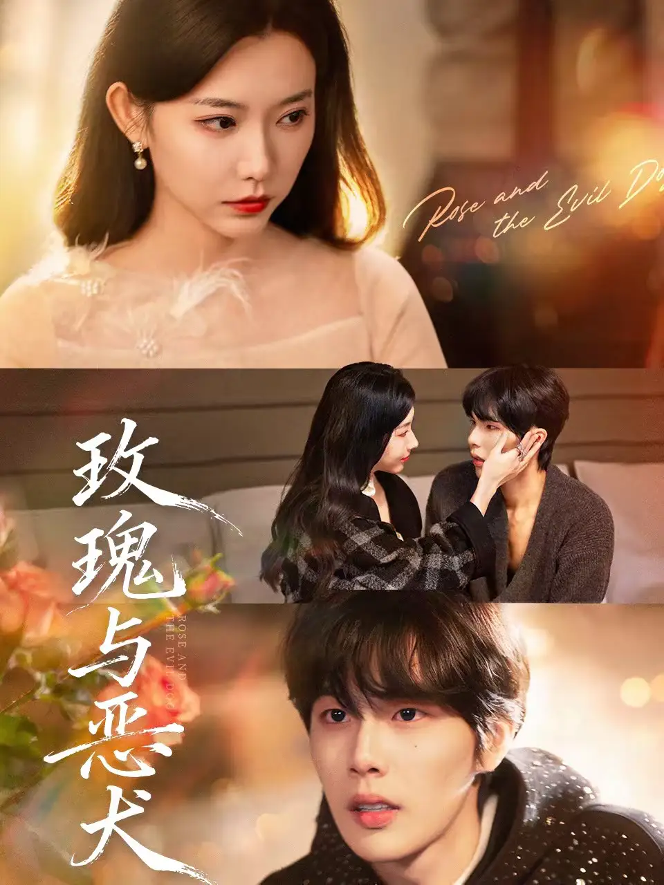 玫瑰与恶犬（80集）马义炎＆盛晨全集免费在线观看 - 第一搜