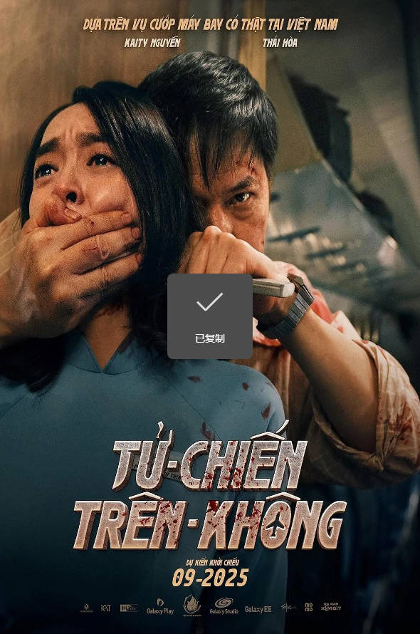 越南电影《空中决战》 [2025][动作 惊悚] 豆瓣7.2电影|全集高清免费在线观看-CD网盘社