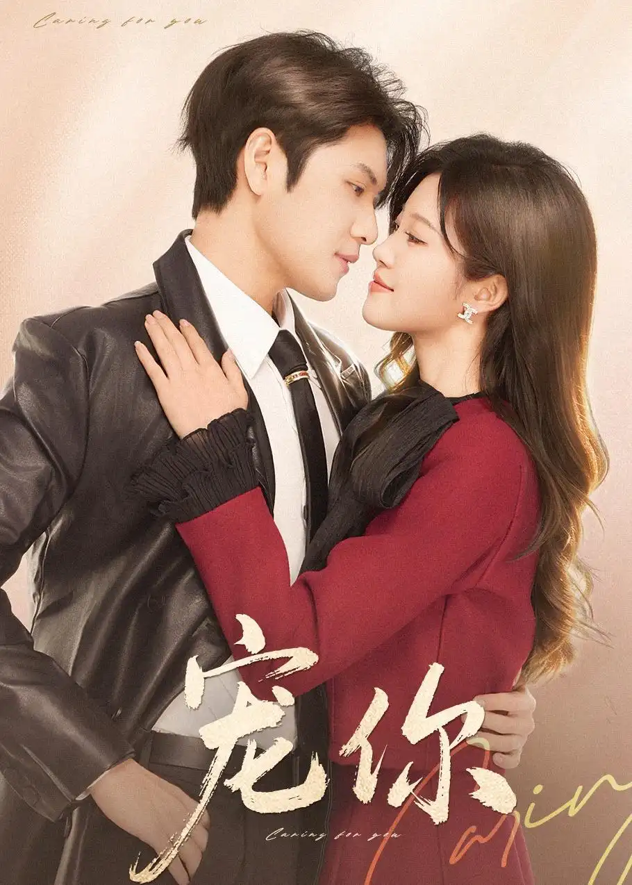 《宠你（68集）张志伟＆刘盈》短剧全集免费在线观看-CD网盘社