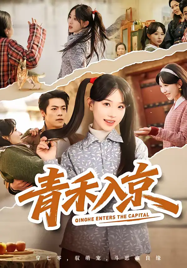 《青禾入京（60集）于忻＆仇赫》短剧全集免费在线观看-CD网盘社