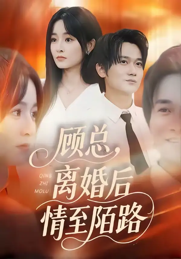 《顾总，离婚后情至陌路（62集）吴鑫&顾嘉川&张天维》短剧全集免费在线观看-CD网盘社