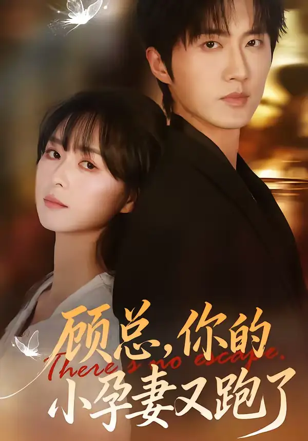 《顾总，你的小孕妻又跑了（47集）马薇＆顾天逸》短剧全集免费在线观看-CD网盘社