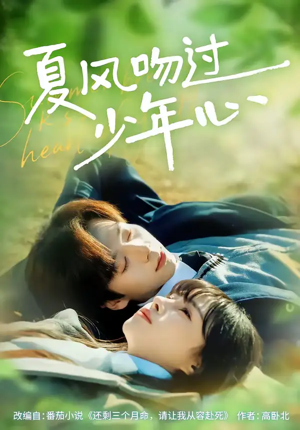 《夏风吻过少年心(76集)张文浩&顾雨欣》短剧全集免费在线观看-CD网盘社