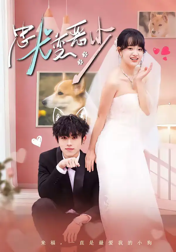 惊！我家来福变恶少了＆忠犬变恶少（80集）曹竣柯＆赵影全集免费在线观看 - 第一搜