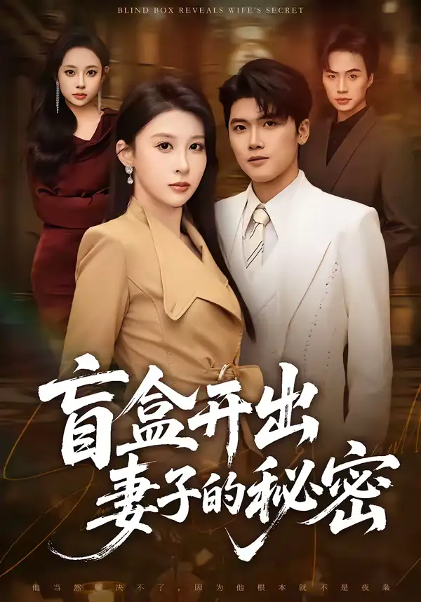 《盲盒开出妻子的秘密（40集）林嘉翊＆张灵钰》短剧全集免费在线观看-CD网盘社