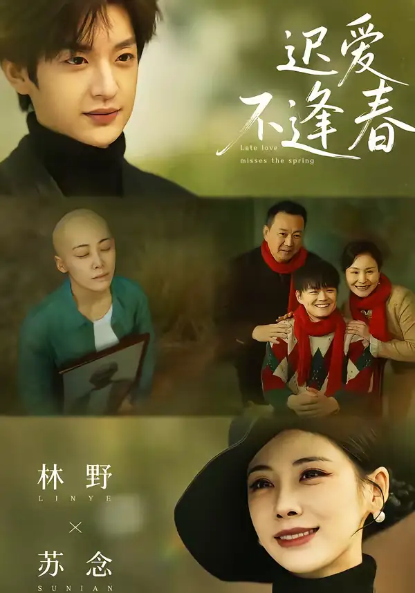 《迟爱不逢春（62集）魏澊＆钟小淇》短剧全集免费在线观看-CD网盘社