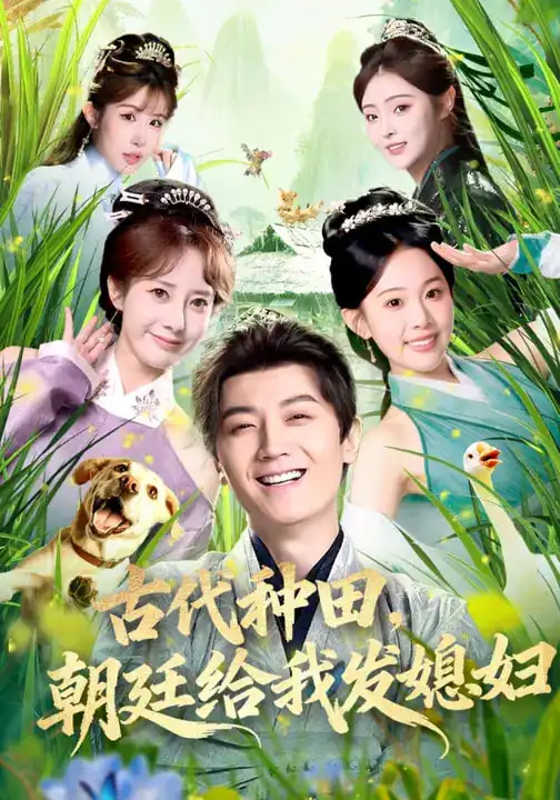 《古代种田，朝廷给我发媳妇（81集）刘子洋&倪浩森》短剧全集免费在线观看-CD网盘社