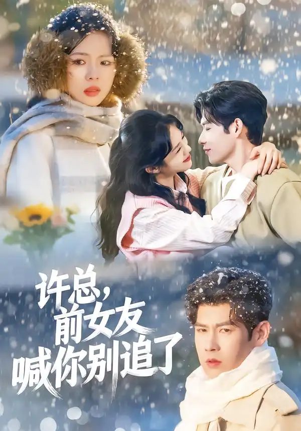 《许总，前女友喊你别追了（80集）王淮璟＆麦伢》短剧全集免费在线观看-CD网盘社