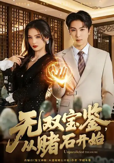 《无双宝鉴，从赌石开始（70集）张星叙&刘畅》短剧全集免费在线观看-CD网盘社
