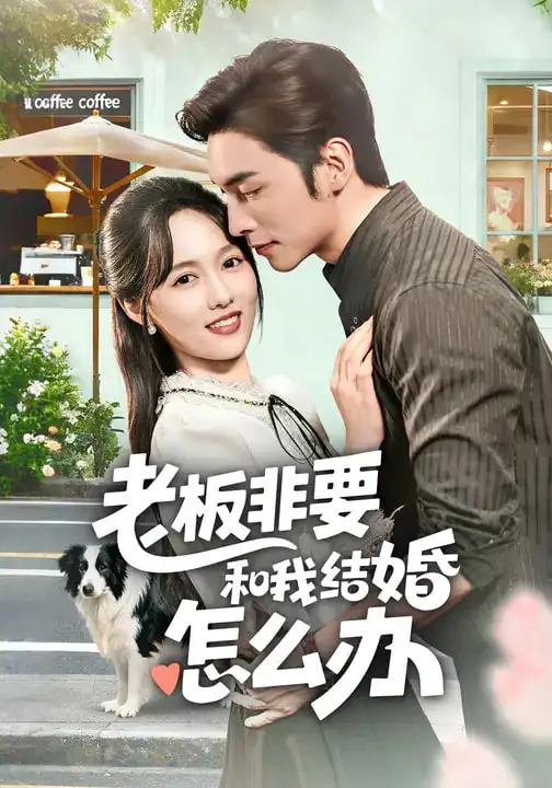 《老板非要和我结婚怎么办（50集）王博&李媛菁》短剧全集免费在线观看-CD网盘社