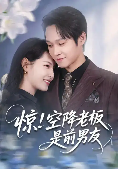 《惊！空降老板是前男友（65集）董洁&王金泽》短剧全集免费在线观看-CD网盘社