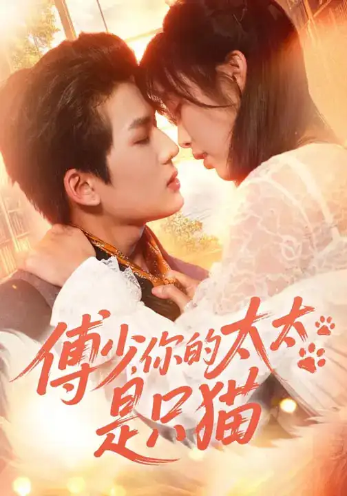 《傅少，你的太太是只猫（64集）赵偲佟&向明》短剧全集免费在线观看-CD网盘社