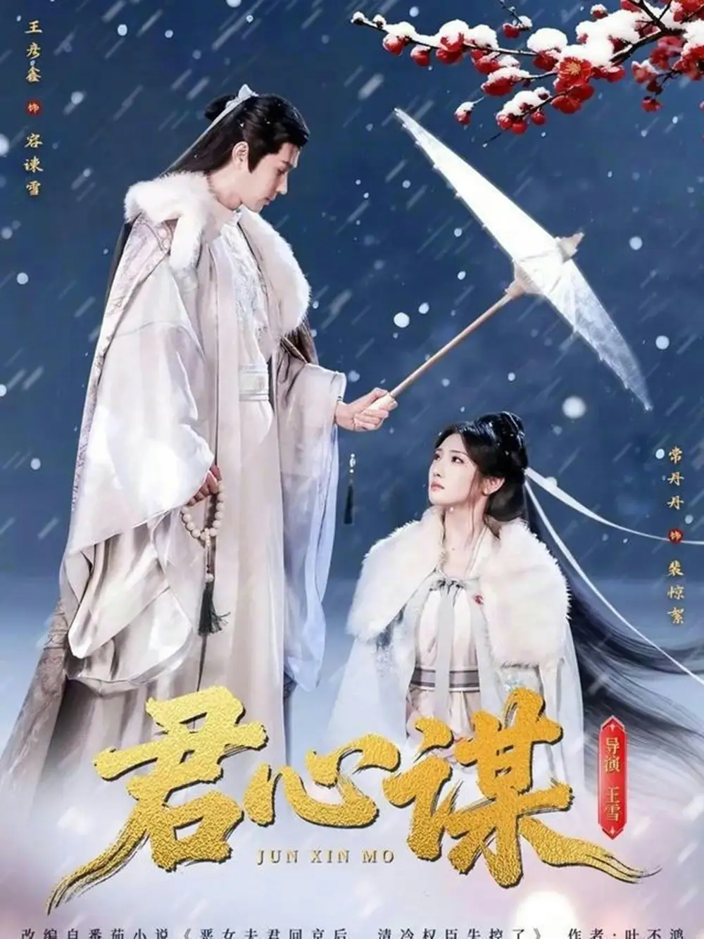 《君心谋（80集）王彦鑫＆常丹丹》短剧全集免费在线观看-CD网盘社