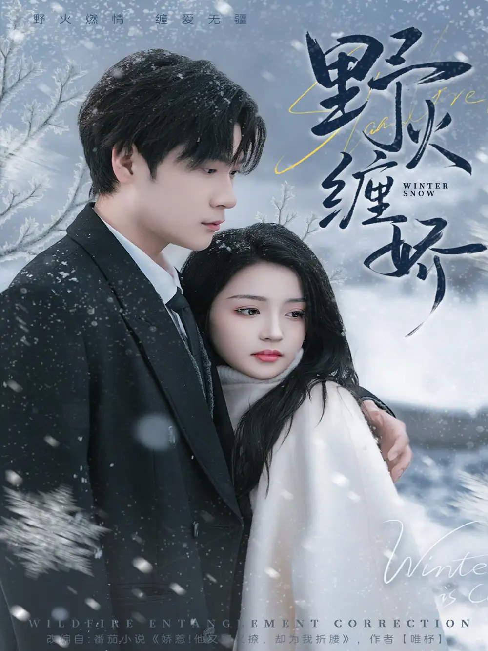 《野火缠娇（66集）胡金池＆刘苗苗》短剧全集免费在线观看-CD网盘社