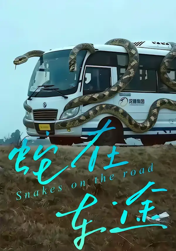 《蛇在车途(34集)何子茜&熊月良》短剧全集免费在线观看-CD网盘社