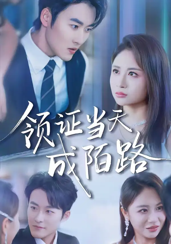 《领证当天成陌路（39集）姜博龙＆李佳乐》短剧全集免费在线观看-CD网盘社
