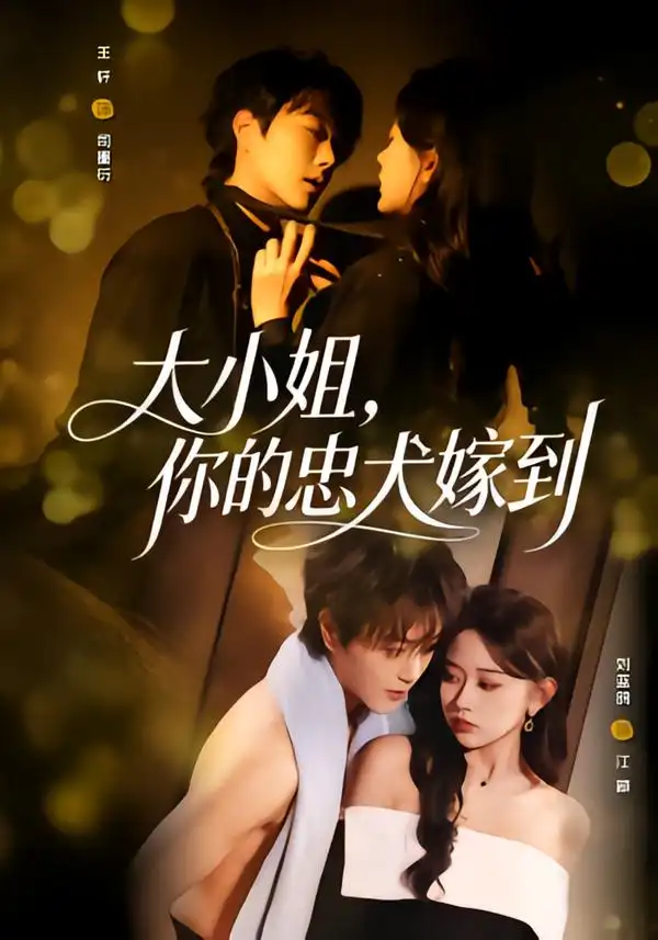 《大小姐，你的忠犬嫁到（80集）王轩＆刘蓝鸽》短剧全集免费在线观看-CD网盘社