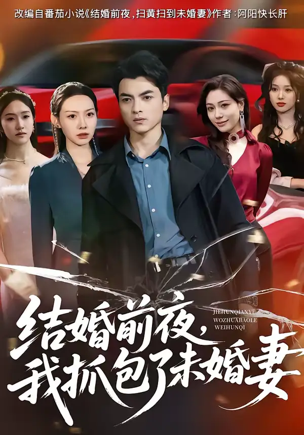 《结婚前夜，我抓包了未婚妻（80集）朱宣甫＆赵维怡》短剧全集免费在线观看-CD网盘社