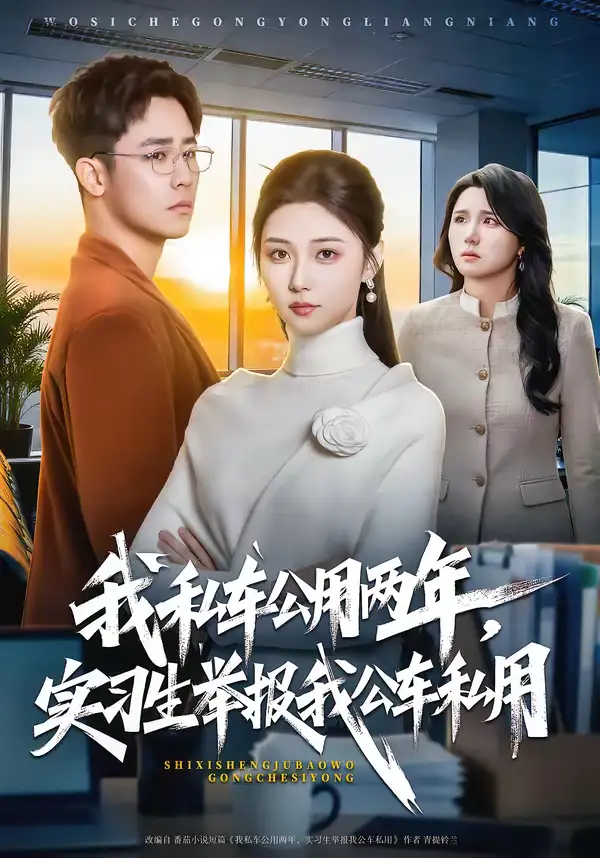 《我私车公用两年，实习生举报我公车私用（63集）程雅昭＆车婷婷》短剧全集免费在线观看-CD网盘社