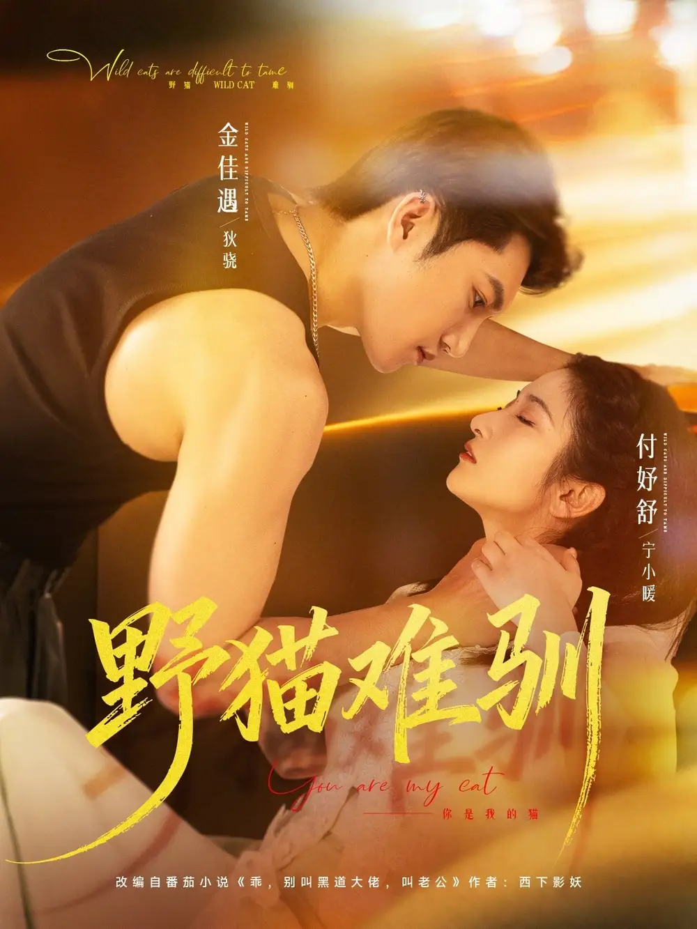 《野猫难驯（73集）金佳遇＆付妤舒》短剧全集免费在线观看-CD网盘社
