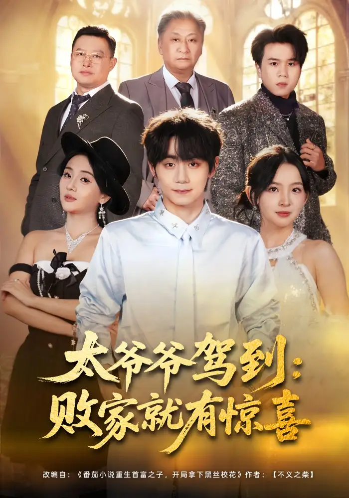 《太爷爷驾到：败家就有惊喜（80集）钟政&张婉悦》短剧全集免费在线观看-CD网盘社