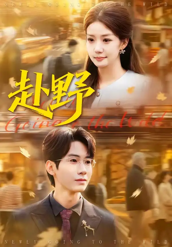 《赴野（40集）宜樊＆丁珂丹》短剧全集免费在线观看-CD网盘社