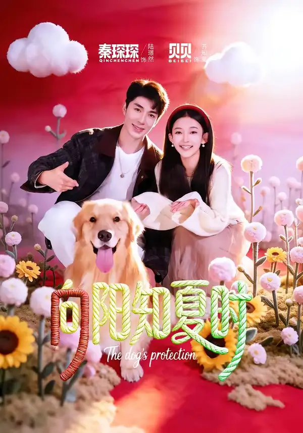 向阳知夏时（80集）秦琛琛＆贝贝全集免费在线观看 - 第一搜