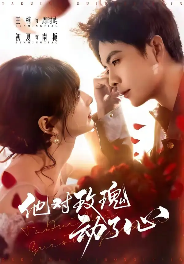 《他对玫瑰动了心（68集）王楠＆初夏》短剧全集免费在线观看-CD网盘社