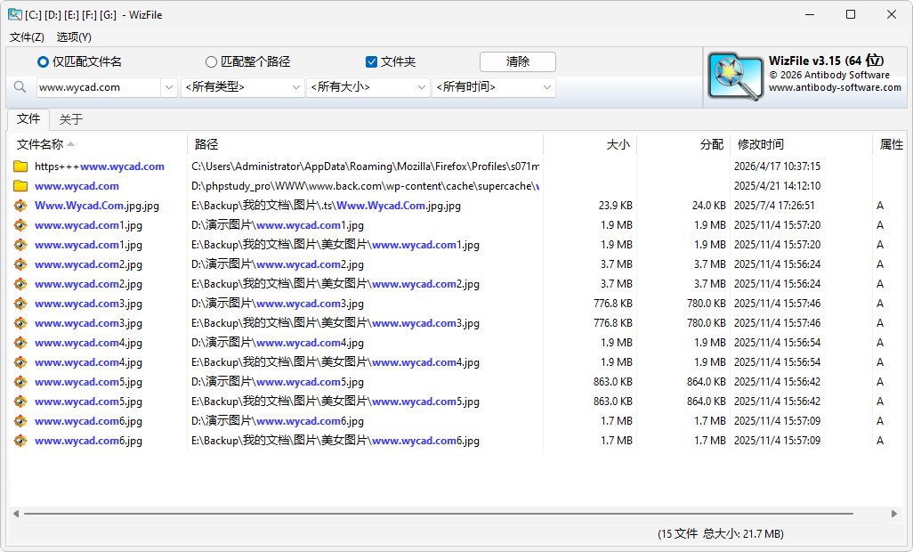 极速文件搜索工具 | WizFile v3.15中文绿色版