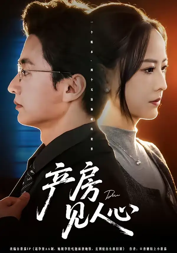 《产房见人心（98集）珑一＆任燕》短剧全集免费在线观看-CD网盘社