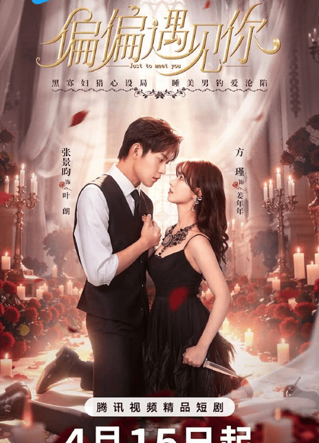 《偏偏遇见你》夸克网盘下载.中字（2026）-CD网盘社