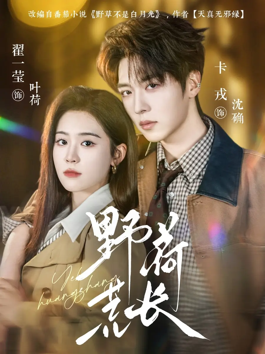 《野荷荒长（86集）卡戎＆翟一莹》短剧全集免费在线观看-CD网盘社