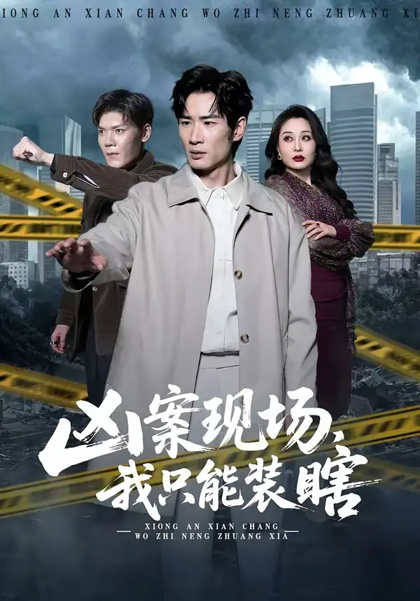 凶案现场，我只能装瞎（72集）何俊雄＆张明雪全集免费在线观看 - 第一搜