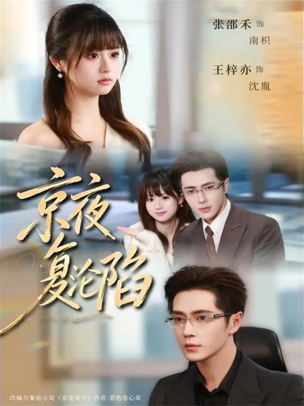 京夜复沦陷（82集）王梓亦＆张邵禾全集免费在线观看 - 第一搜