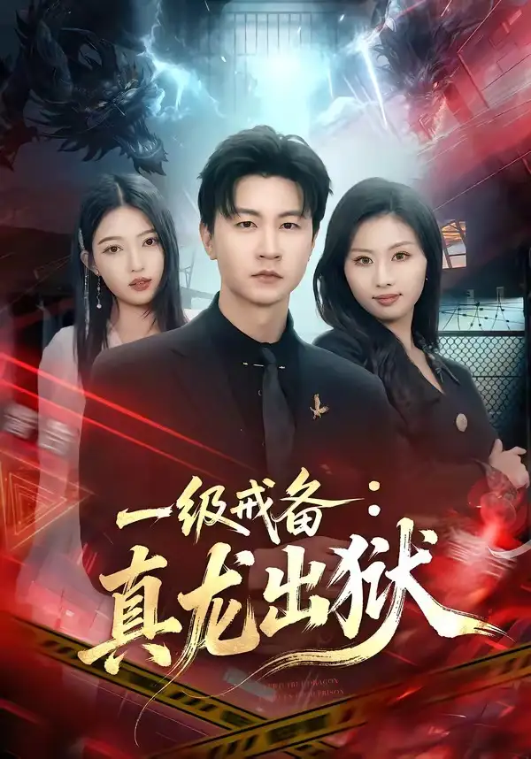 《一级戒备：真龙出狱（73集）王鹏＆千文》短剧全集免费在线观看-CD网盘社