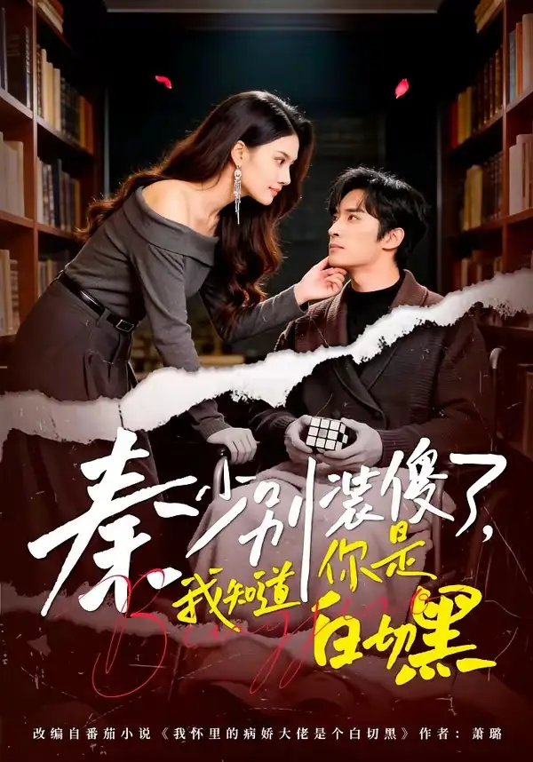 《秦少别装傻了，我知道你是白切黑（60集）王博＆赵文涓》短剧全集免费在线观看-CD网盘社