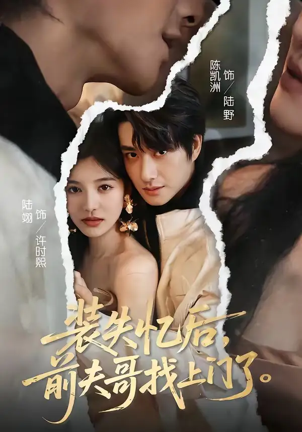 《装失忆后，前夫哥找上门了（60集）陈凯洲＆陆翊》短剧全集免费在线观看-CD网盘社