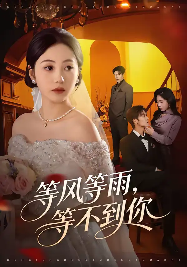 《等风等雨,等不到你(65集)陈京霖&曾和惠子》短剧全集免费在线观看