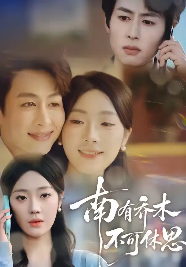 《南有乔木，不可休思（68集）邢航铭&孔祥东》短剧全集免费在线观看-CD网盘社