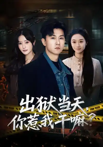 《出狱当天，你惹我干嘛？（62集）王鹏&郑皓月》短剧全集免费在线观看-CD网盘社