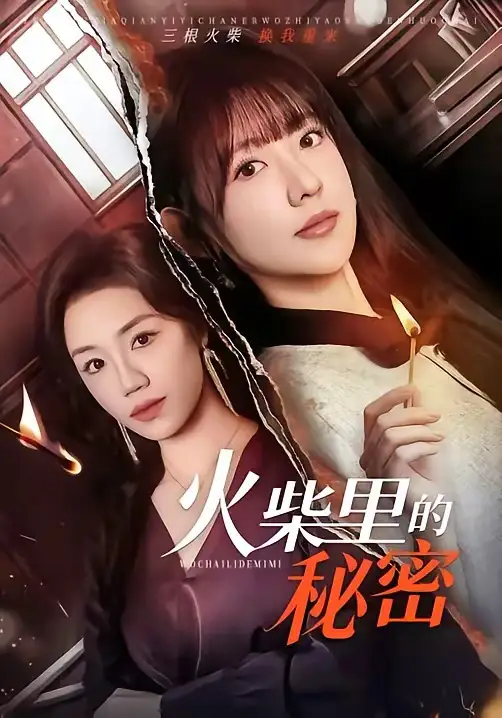 《火柴里的秘密（75集）顾书齐&李河源》短剧全集免费在线观看