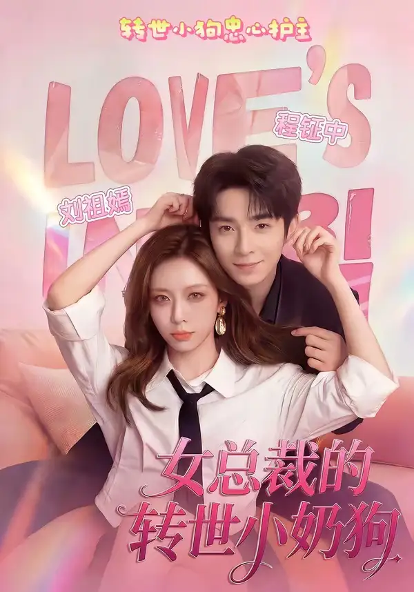 《女总裁的转世小奶狗（30集）程钲中＆刘祖嫣》短剧全集免费在线观看-CD网盘社