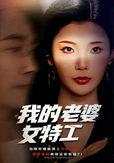 《我的老婆女特工（62集）王星辰&王振》短剧全集免费在线观看-CD网盘社