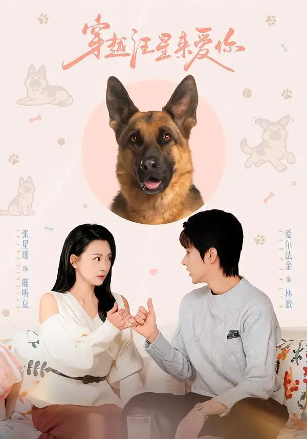 《穿越汪星来爱你（62集）爱尔法金＆张星瑶》短剧全集免费在线观看-CD网盘社