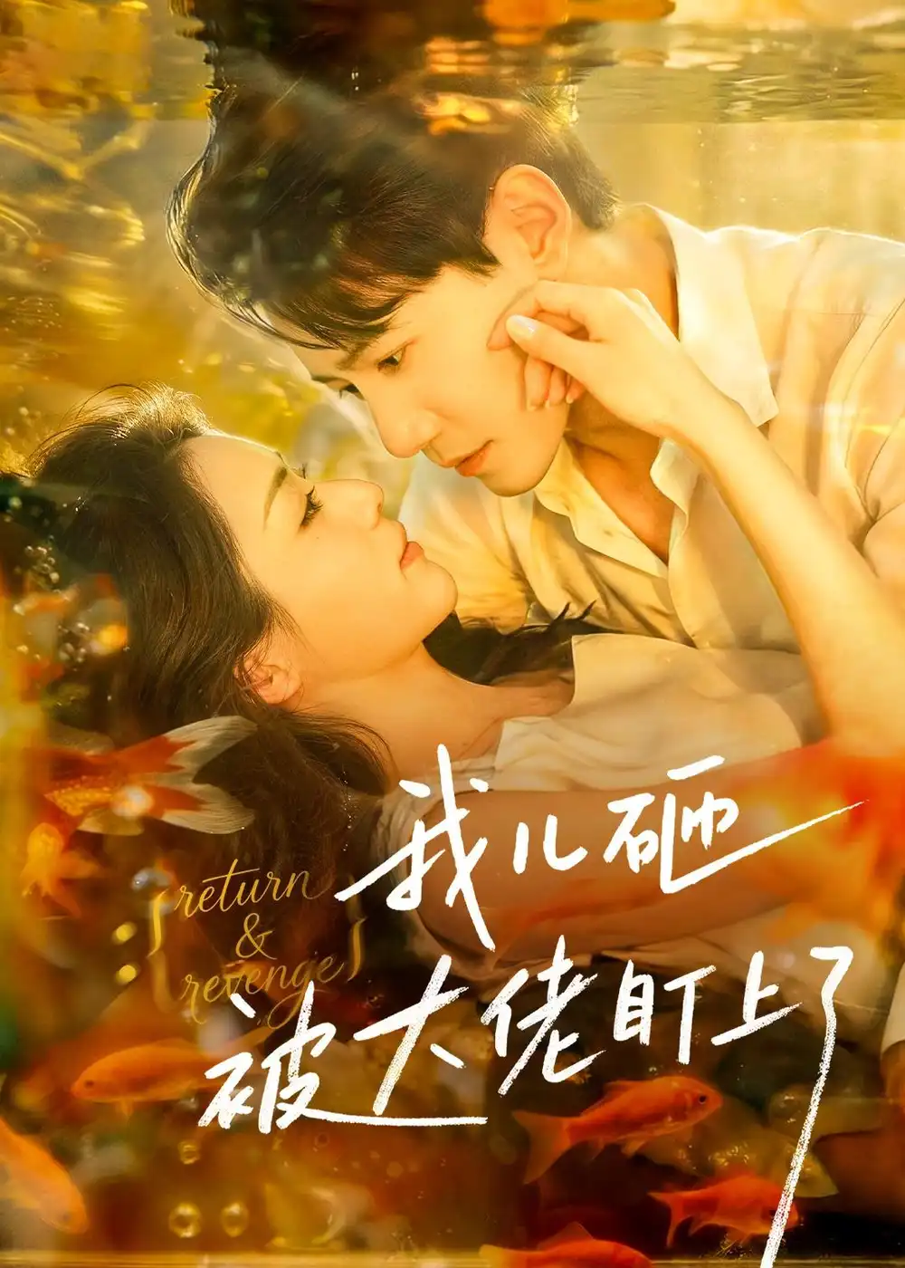 《我儿砸被大佬盯上了（67集）邱柏皓＆胡少琛》短剧全集免费在线观看-CD网盘社
