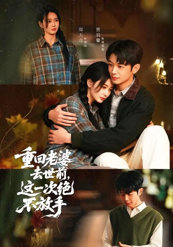 《重回老婆去世前，这一次绝不放手（80集）郑天奇＆贾羽馨》短剧全集免费在线观看-CD网盘社