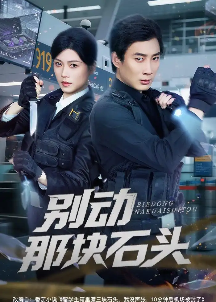 《别动那块石头（58集）杨杰＆诸玲颖》短剧全集免费在线观看-CD网盘社