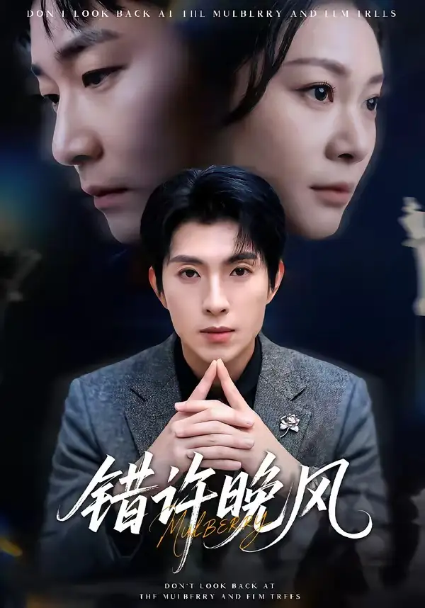 《错许晚风（60集）李兼任＆宋雯娟》短剧全集免费在线观看-CD网盘社
