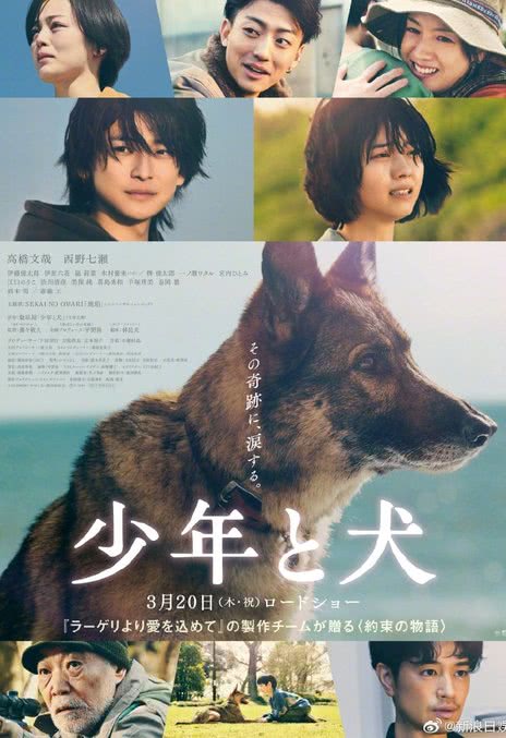 《少年与犬》夸克网盘下载.中字（2025）